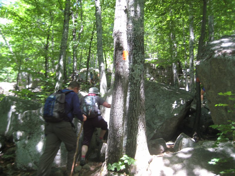 MtMajor (4).JPG - They got bigger as we went along.